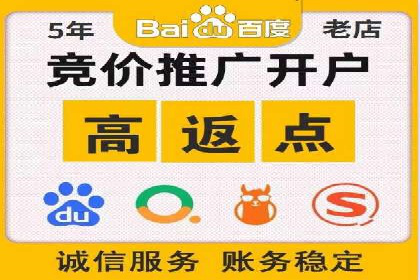 大型SEM服务公司案例分析